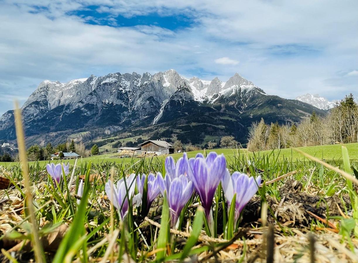 Landgasthof Reitsamerhof Werfen Exterior foto